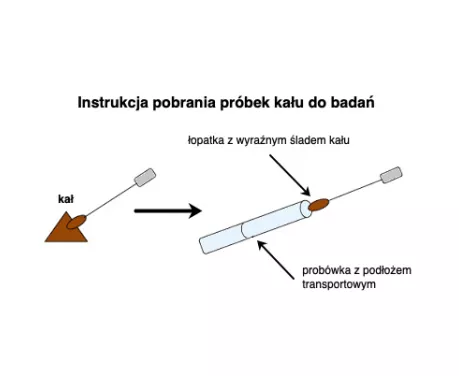 Jak pobrać próbkę kału wymazówką - Post Medical Ruda Śląska